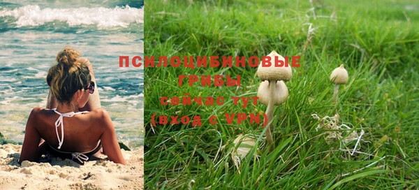 ECSTASY Аркадак