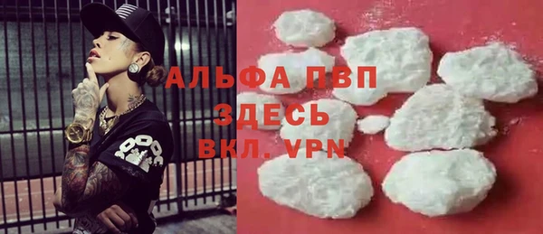 стаф Арсеньев