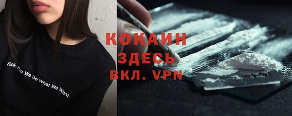 стаф Арсеньев