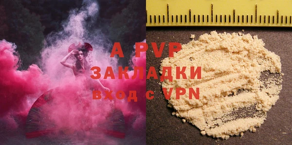стаф Арсеньев