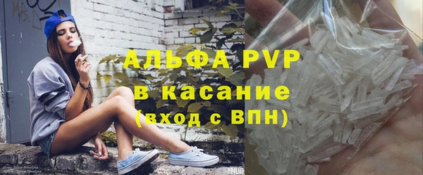 стаф Арсеньев