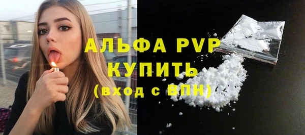 стаф Арсеньев