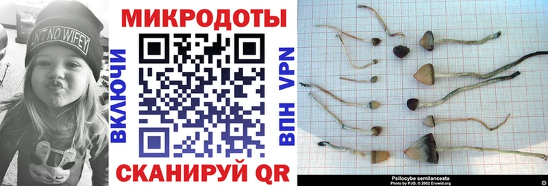 Псилоцибиновые грибы Cubensis  Слюдянка 